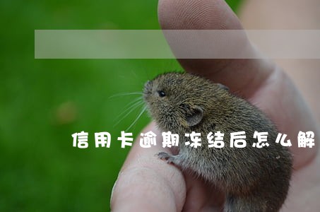 信用卡逾期冻结后怎么解冻 信用卡逾期冻结后怎么解冻