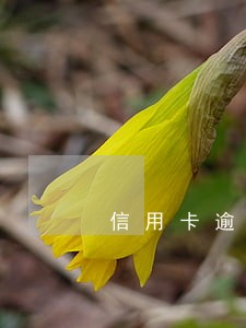 信用卡逾期冻结后果 信用卡逾期冻结后果