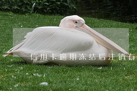 信用卡逾期冻结后注销有影响吗 信用卡逾期冻结后注销有影响吗