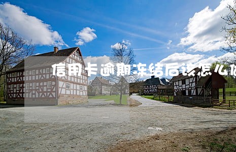 信用卡逾期冻结后该怎么做