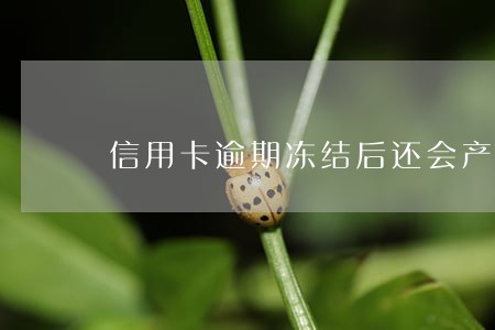 信用卡逾期冻结后还会产生利息 信用卡逾期冻结后还会产生利息