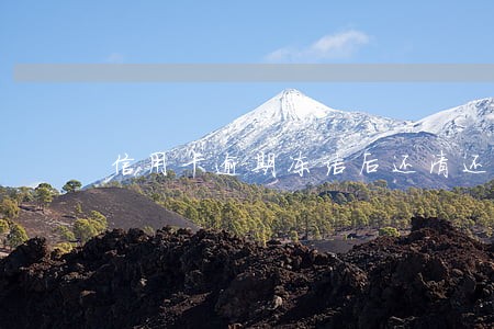 信用卡逾期冻结后还清还能使用吗 信用卡逾期冻结后还清还能使用吗
