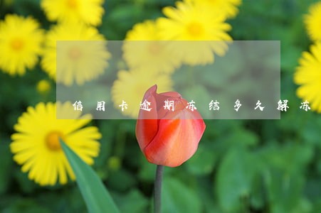 信用卡逾期冻结多久解冻 信用卡逾期冻结多久解冻