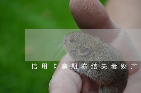 信用卡逾期冻结夫妻财产 信用卡逾期冻结夫妻财产