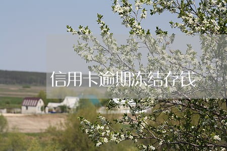 信用卡逾期冻结存钱 信用卡逾期冻结存钱