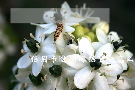 信用卡逾期冻结它会怎么样