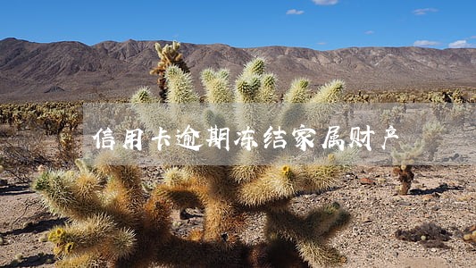 信用卡逾期冻结家属财产