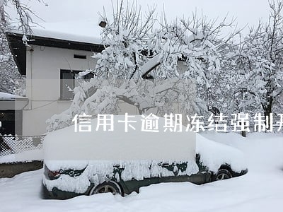 信用卡逾期冻结强制开卡 信用卡逾期冻结强制开卡
