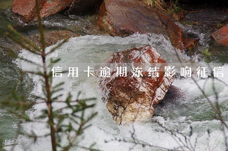 信用卡逾期冻结影响征信吗 信用卡逾期冻结影响征信吗