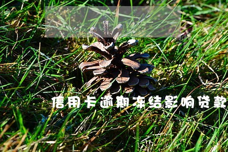 信用卡逾期冻结影响贷款吗 信用卡逾期冻结影响贷款吗