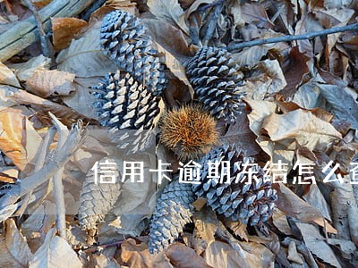 信用卡逾期冻结怎么查询余额 信用卡逾期冻结怎么查询余额