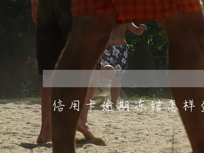 信用卡逾期冻结怎样查看账单 信用卡逾期冻结怎样查看账单