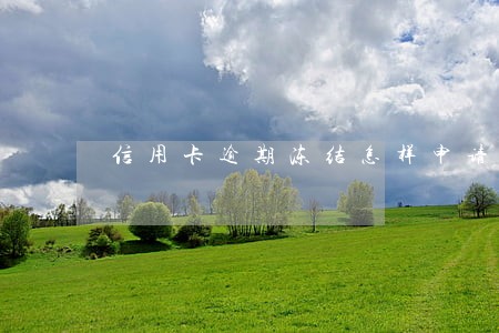 信用卡逾期冻结怎样申请免息 信用卡逾期冻结怎样申请免息
