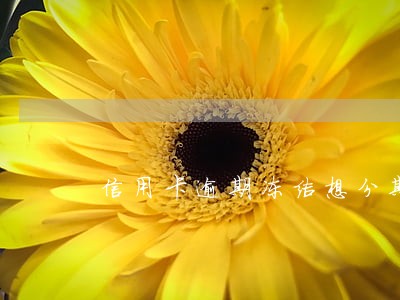 信用卡逾期冻结想分期