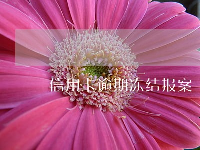 信用卡逾期冻结报案