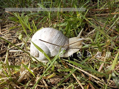 信用卡逾期冻结数量 信用卡逾期冻结数量
