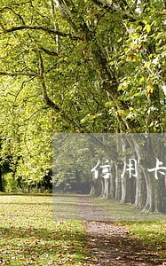 信用卡逾期冻结无法解冻 信用卡逾期冻结无法解冻