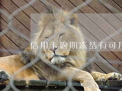 信用卡逾期冻结有可用额度用不了 信用卡逾期冻结有可用额度用不了