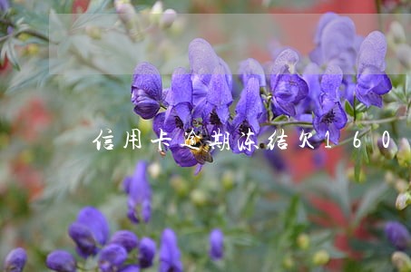 信用卡逾期冻结欠1600 信用卡逾期冻结欠1600