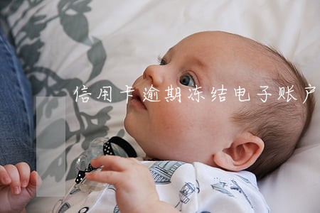 信用卡逾期冻结电子账户 信用卡逾期冻结电子账户
