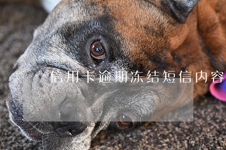 信用卡逾期冻结短信内容