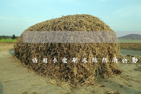 信用卡逾期冻结结清会影响
