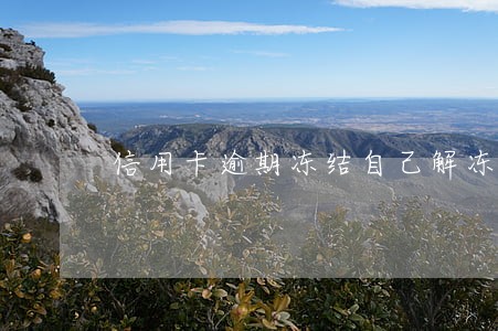 信用卡逾期冻结自己解冻 信用卡逾期冻结自己解冻