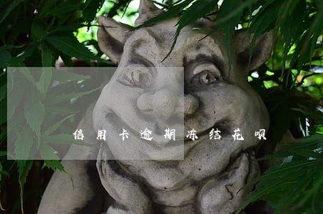 信用卡逾期冻结花呗 信用卡逾期冻结花呗