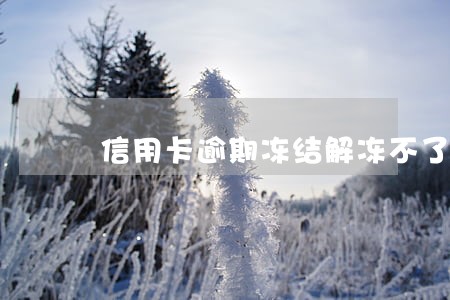 信用卡逾期冻结解冻不了了 信用卡逾期冻结解冻不了了