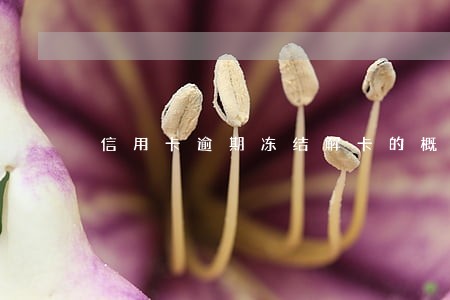 信用卡逾期冻结解卡的概率 信用卡逾期冻结解卡的概率