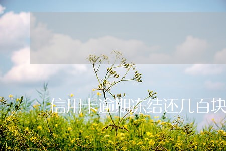 信用卡逾期冻结还几百块 信用卡逾期冻结还几百块