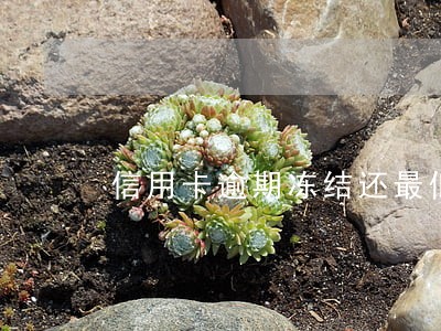 信用卡逾期冻结还最低还款