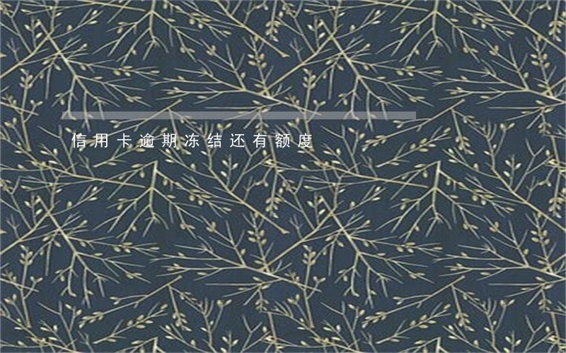 信用卡逾期冻结还有额度 信用卡逾期冻结还有额度