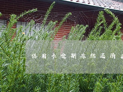 信用卡逾期冻结还清后能解冻吗