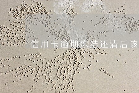 信用卡逾期冻结还清后该如何处理 信用卡逾期冻结还清后该如何处理