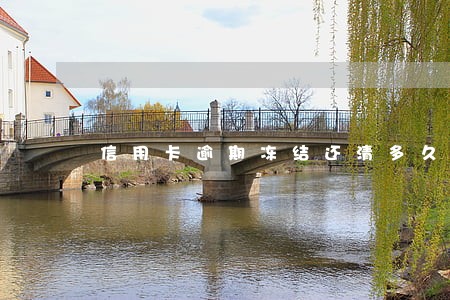 信用卡逾期冻结还清多久解冻 信用卡逾期冻结还清多久解冻