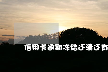 信用卡逾期冻结还清还有额度