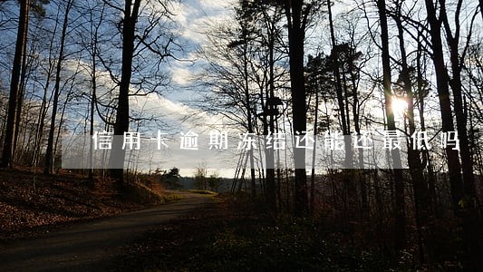信用卡逾期冻结还能还最低吗 信用卡逾期冻结还能还最低吗