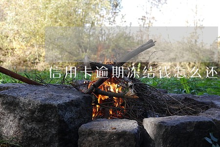 信用卡逾期冻结钱怎么还 信用卡逾期冻结钱怎么还