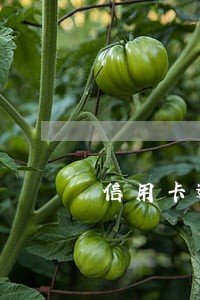信用卡逾期冻结销卡 信用卡逾期冻结销卡