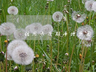 信用卡逾期净增原因 信用卡逾期净增原因