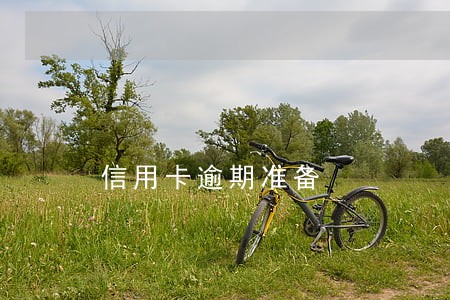 信用卡逾期准备