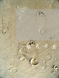 信用卡逾期准备提交材料怎么办