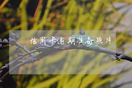 信用卡逾期准备照片 信用卡逾期准备照片