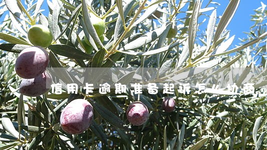 信用卡逾期准备起诉怎么协商 信用卡逾期准备起诉怎么协商