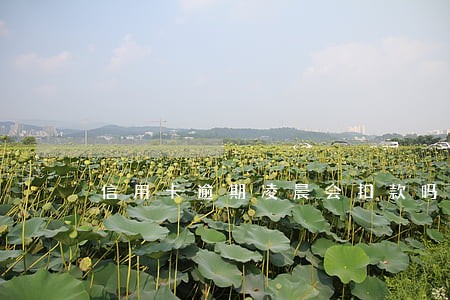 信用卡逾期凌晨会扣款吗 信用卡逾期凌晨会扣款吗