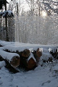 信用卡逾期减免三个月清零