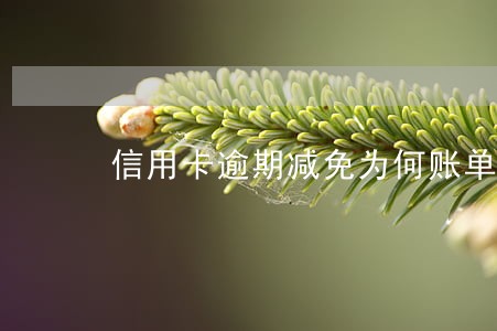 信用卡逾期减免为何账单不变