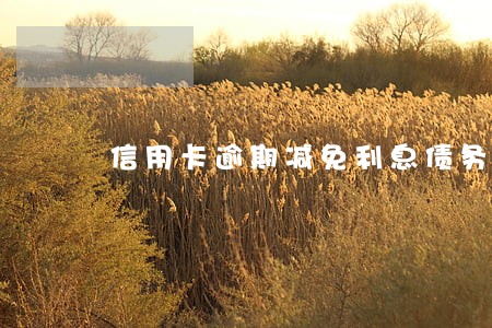 信用卡逾期减免利息债务优化
