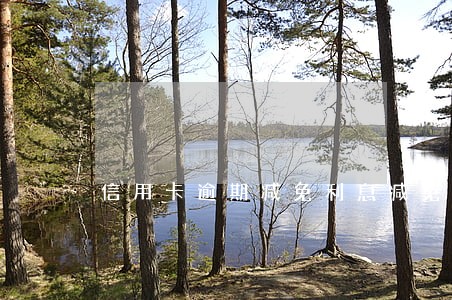 信用卡逾期减免利息减免多少